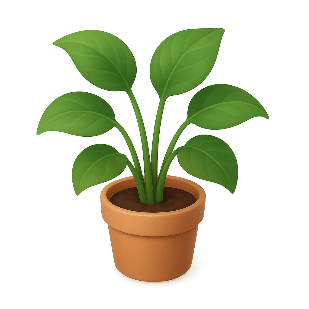 houseplant